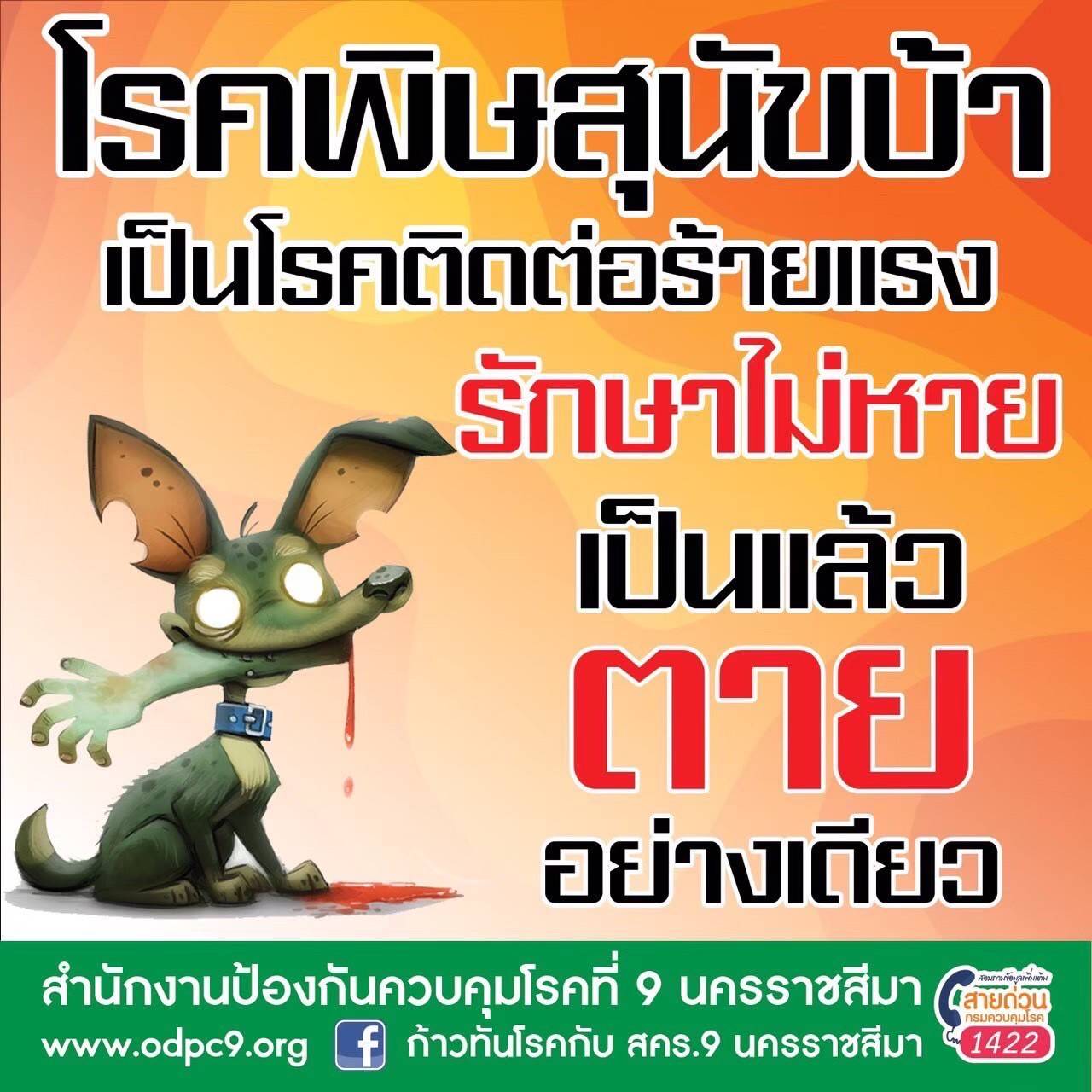 ประชาสัมพันธ์ การเฝ้าระวังป้องกันโรคพิษสุนัขบ้า